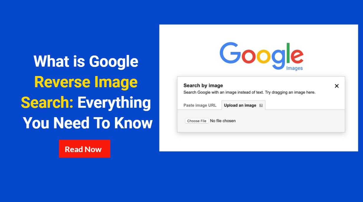 What is Google Reverse Image Search?